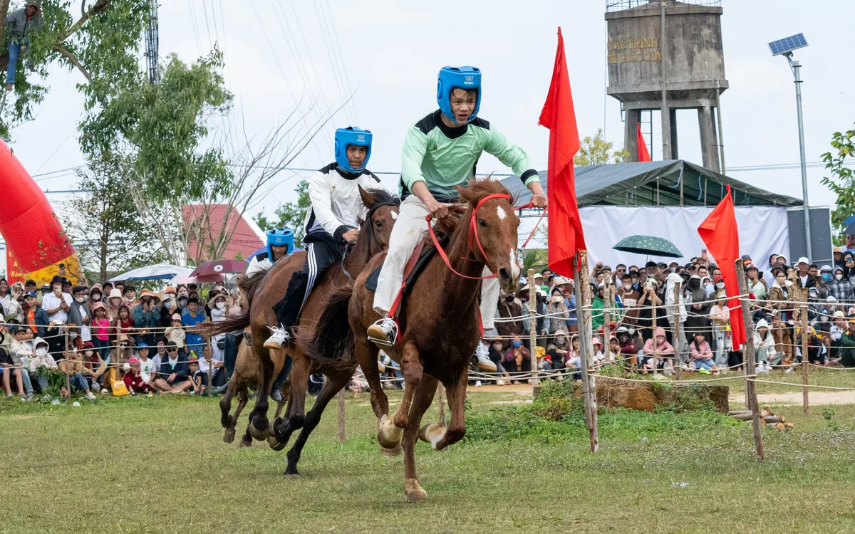 Hội đua ngựa Gò Thì Thùng Xuân Bính Ngọ 2026 tại Đắk Lắk rộn ràng, đậm dấu ấn văn hóa truyền thống đầu năm.
