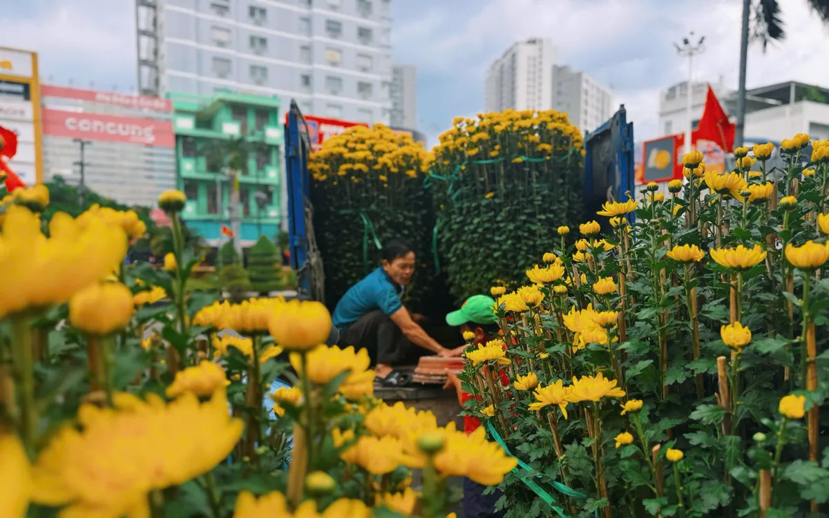 Hoa Tết về phố.