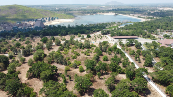 Lâm Đồng kiến nghị Thủ tướng gỡ vướng dự án sân golf Đồi Cù, rừng dầu Hồng Liêm Lâm Đồng kiến nghị Thủ tướng gỡ vướng dự án sân golf Đồi Cù, rừng dầu Hồng Liêm