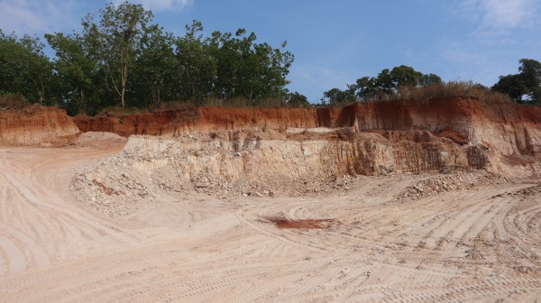 Đồng Nai: Xử phạt 70 triệu đồng do hủy hoại gần 0,5 ha đất Đồng Nai: Xử phạt 70 triệu đồng do hủy hoại gần 0,5 ha đất