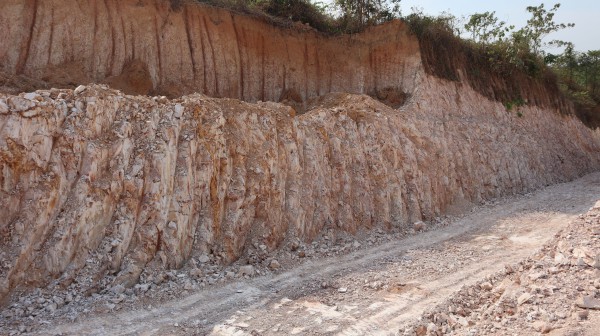 Đồng Nai: Xử phạt 70 triệu đồng do hủy hoại gần 0,5 ha đất Đồng Nai: Xử phạt 70 triệu đồng do hủy hoại gần 0,5 ha đất