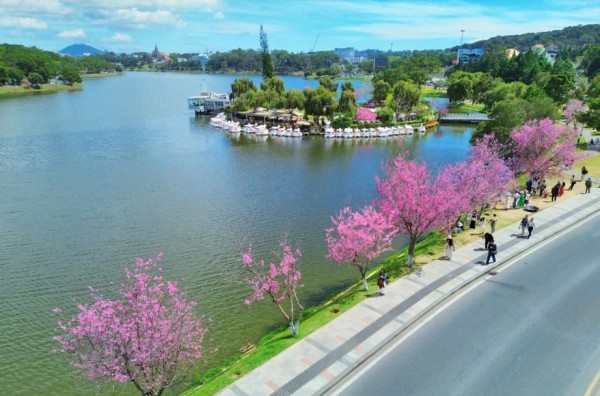 Đóng cửa sân bay Liên Khương, kịch bản nào đón khách đến Lâm Đồng?