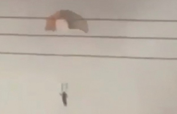 Israel tuyên bố lãnh đạo Hezbollah là 'mục tiêu cần loại bỏ'