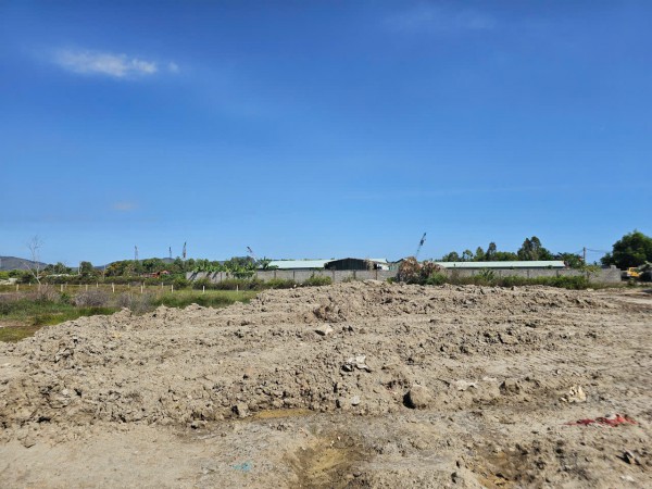 TP.HCM: Truy tìm nhiều xe ben chở bùn, chất thải xây dựng san lấp trái phép