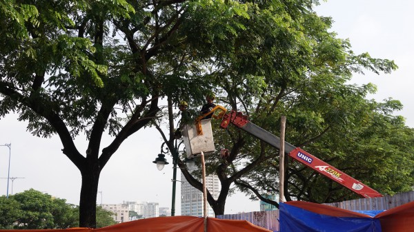 TP.HCM: Phân cấp cho phường, xã chủ động sửa đường, nạo vét cống