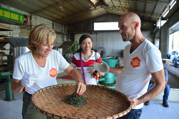 Nỗi niềm trà di sản: Phải sinh lợi, không sinh… bệnh!