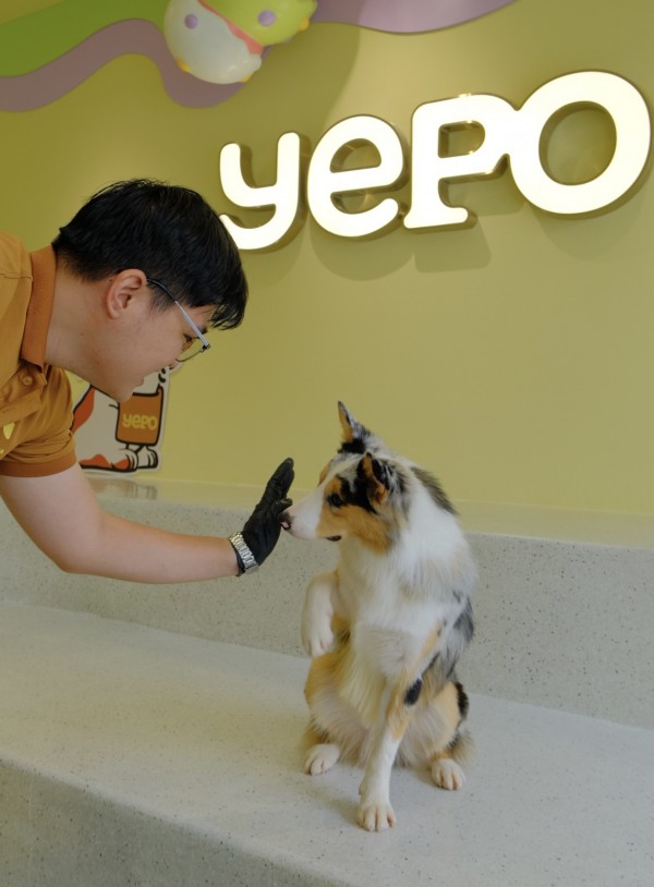 TP.HCM có quán kem độc nhất vô nhị, thiên đường cho người mê cún cưng