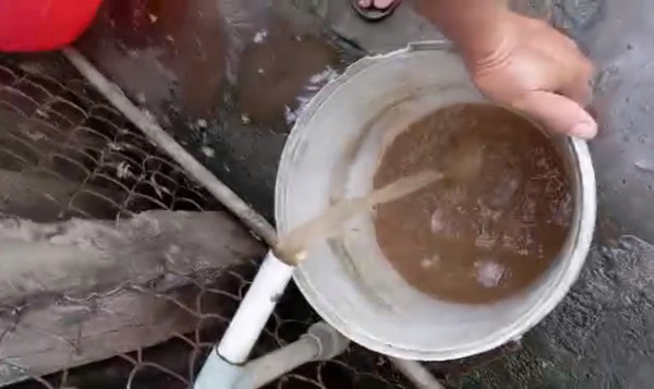 Nước sinh hoạt đục ngầu, gần 1.400 hộ dân ở Đồng Tháp sống trong lo lắng