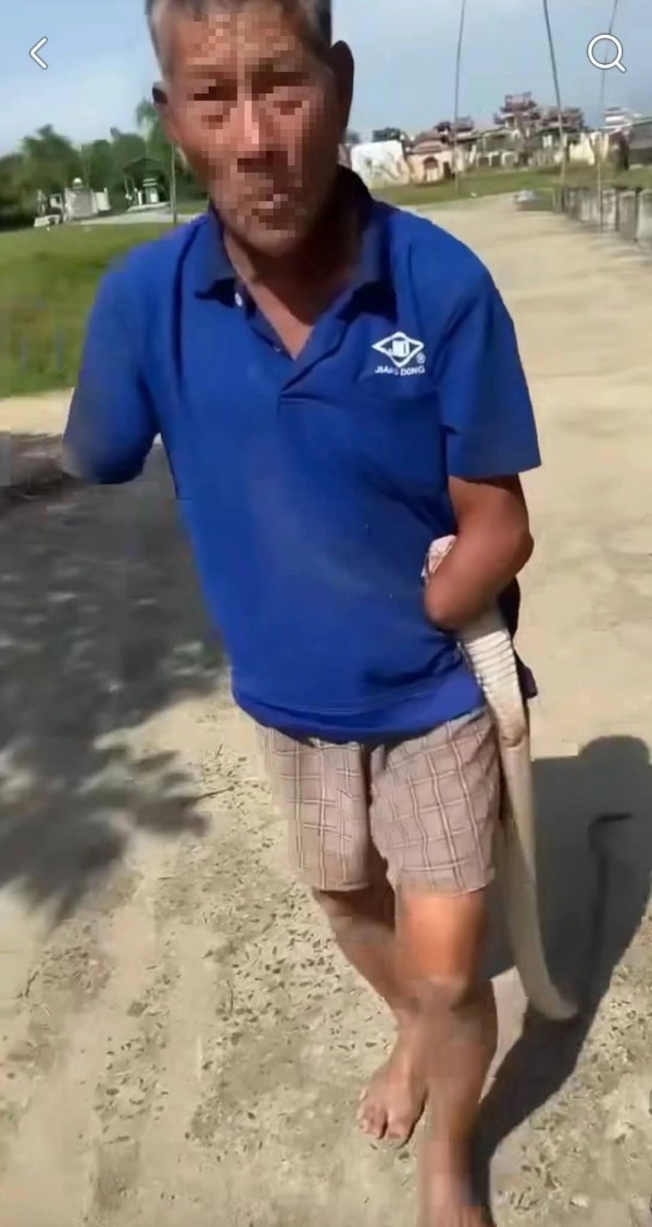 Cụ ông cụt 2 tay kẹp rắn hổ mang đem về nhà, con trai kể lại khoảnh khắc khó tin Cụ ông cụt 2 tay kẹp rắn hổ mang đem về nhà, con trai kể lại khoảnh khắc khó tin