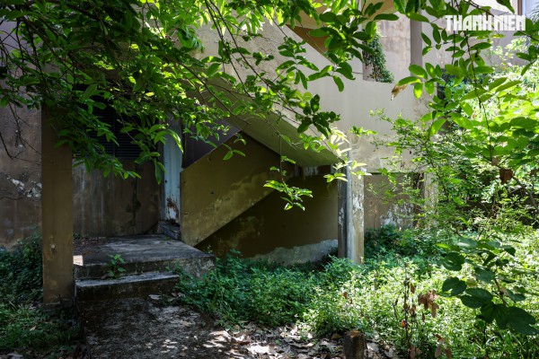 Cận cảnh khu căn hộ nghìn tỉ xuống cấp ở Thủ Thiêm chuẩn bị đấu giá