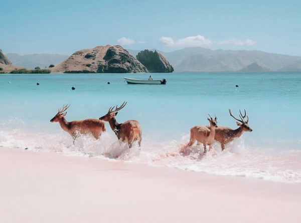 Báo Anh chọn hai điểm đến ở Việt Nam vào top đẹp nhất thế giới