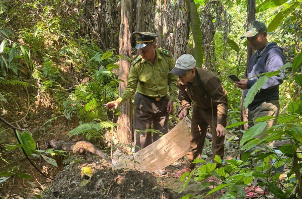 Thả hàng loạt động vật hoang dã về rừng Phong Nha - Kẻ Bàng