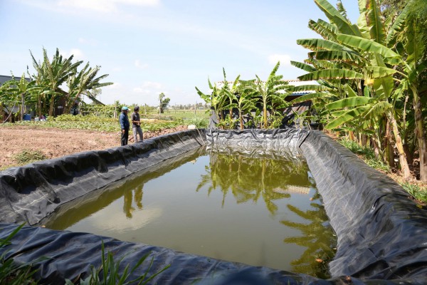 Đồng Tháp mở nhiều điểm cấp nước đối phó với xâm nhập mặn Đồng Tháp mở nhiều điểm cấp nước đối phó với xâm nhập mặn