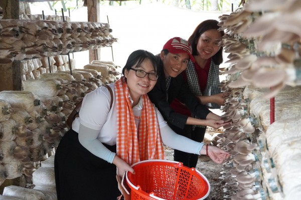 Đến cù lao Thới Sơn trải nghiệm du lịch với trại nấm bào ngư