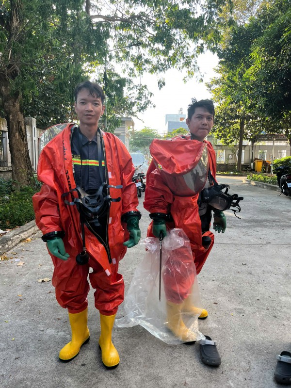 Kịp thời xử lý tổ ong 'khủng' trong khu dân cư ở TP.HCM