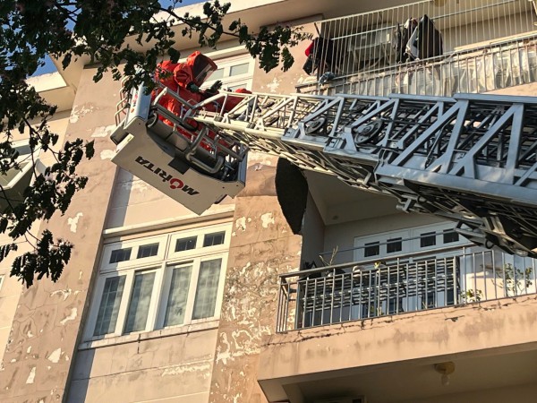 Kịp thời xử lý tổ ong 'khủng' trong khu dân cư ở TP.HCM