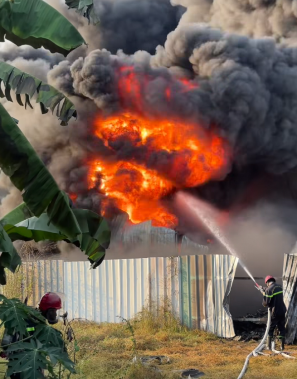 Cháy kho tập kết phế liệu không phép ở Củ Chi, lửa tái bùng phát rạng sáng Cháy kho tập kết phế liệu không phép ở Củ Chi, lửa tái bùng phát rạng sáng