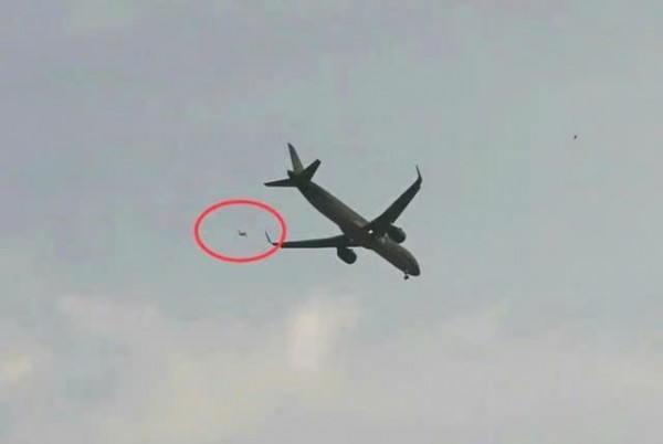 Diều sáo uy hiếp an toàn sân bay Cát Bi