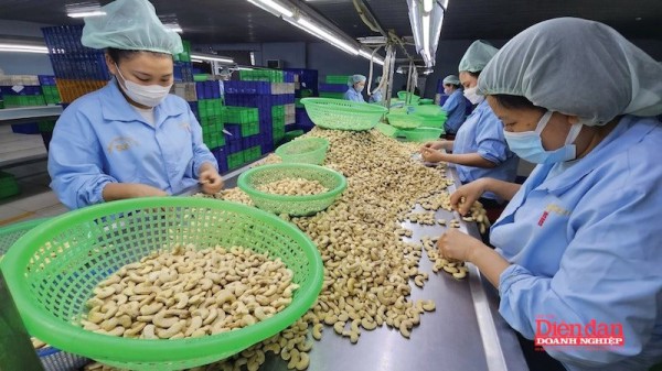 Doanh nghiệp điều chịu "sức ép kép" từ xung đột Trung Đông