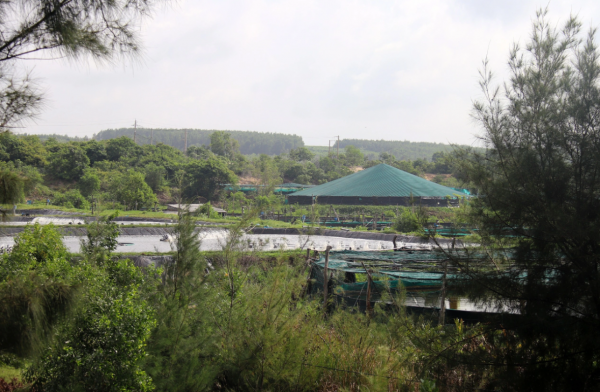 Gỡ nút thắt cơ chế để thúc đẩy 2 dự án điện khí LNG Sơn Mỹ