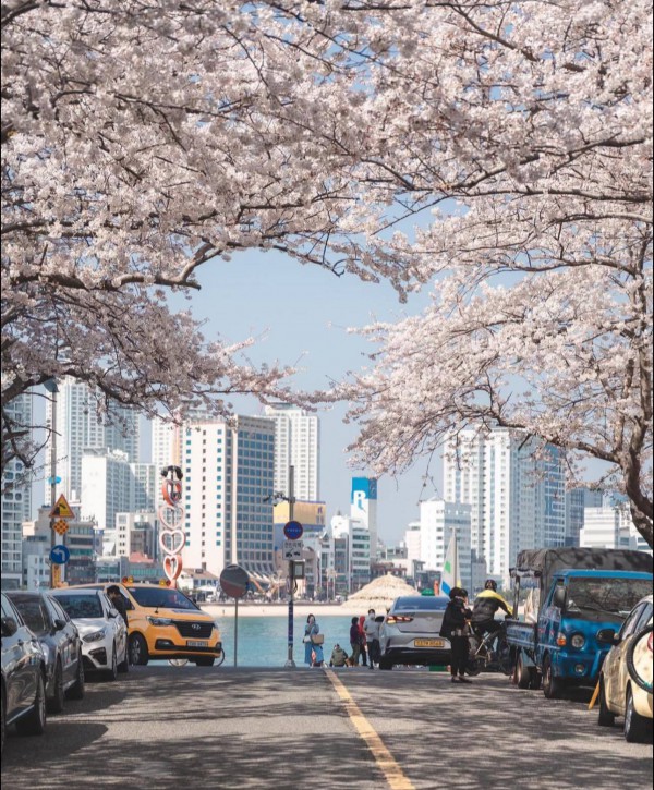 Sau 48 năm, Nhật Bản tăng phí visa với khách Việt