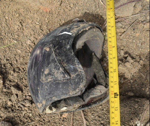 TP.HCM: Thông báo tìm thân nhân của thi thể nam giới mất một cánh tay