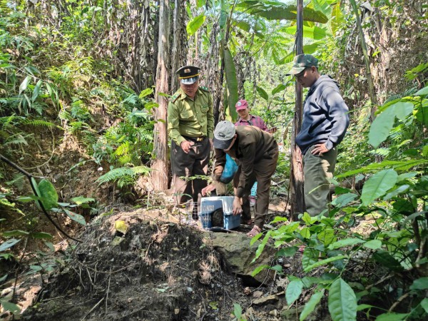 Thả hàng loạt động vật hoang dã về rừng Phong Nha - Kẻ Bàng