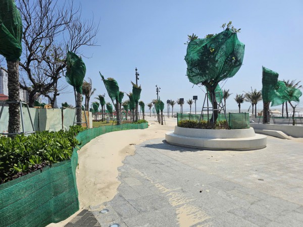 Vì sao dự án ngàn tỉ ở Bãi Sau của Vũng Tàu bị cát biển phủ kín?