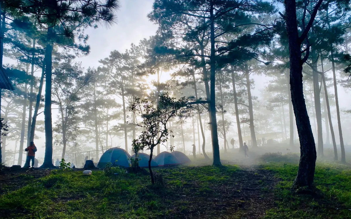 VQG Bidoup - Núi Bà được đánh giá có mức độ đa dạng sinh học cao bậc nhất Việt Nam.