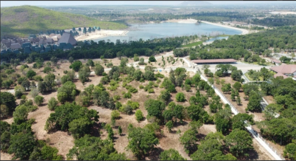 Lâm Đồng yêu cầu xử lý dứt điểm vướng mắc sân golf Đồi Cù, rừng dầu Hồng Liêm