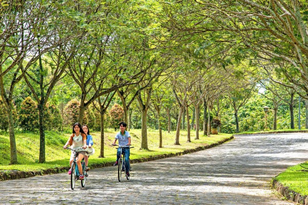 Thành lập 10 phường mới ở Đồng Nai: Xây dựng Trảng Bom thành đô thị đáng sống Thành lập 10 phường mới ở Đồng Nai: Xây dựng Trảng Bom thành đô thị đáng sống