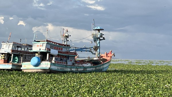 Khởi tố 55 vụ vi phạm khai thác thủy sản, An Giang quyết liệt gỡ 'thẻ vàng' IUU