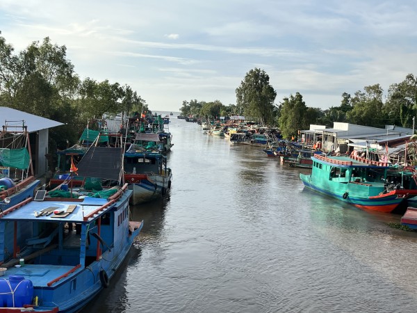 Khởi tố 55 vụ vi phạm khai thác thủy sản, An Giang quyết liệt gỡ 'thẻ vàng' IUU