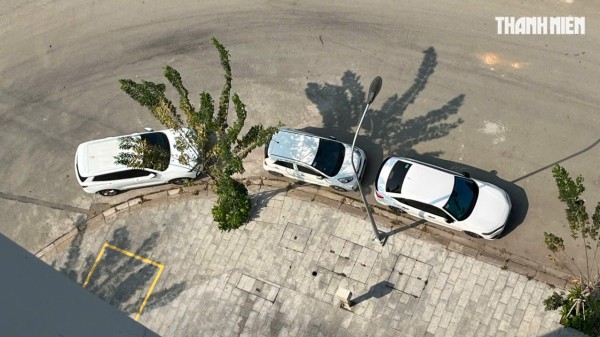 Ô tô đỗ dưới trời nắng gắt ảnh hưởng thế nào đến nội thất xe?