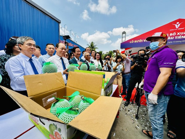 Chính thức bán bưởi da xanh Vĩnh Long vào thị trường Úc