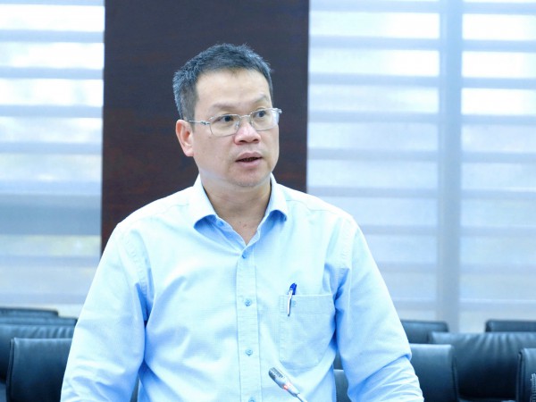 THACO đề xuất đầu tư trồng hàng nghìn ha sâm Ngọc Linh ở vùng cao Đà Nẵng