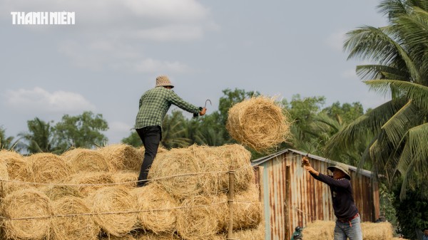 Nhộn nhịp chợ rơm cuộn Ba Lai: Nụ cười xua tan cái mệt dưới nắng hè