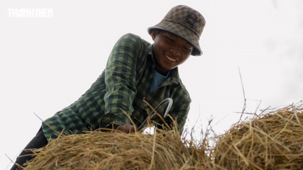 Nhộn nhịp chợ rơm cuộn Ba Lai: Nụ cười xua tan cái mệt dưới nắng hè