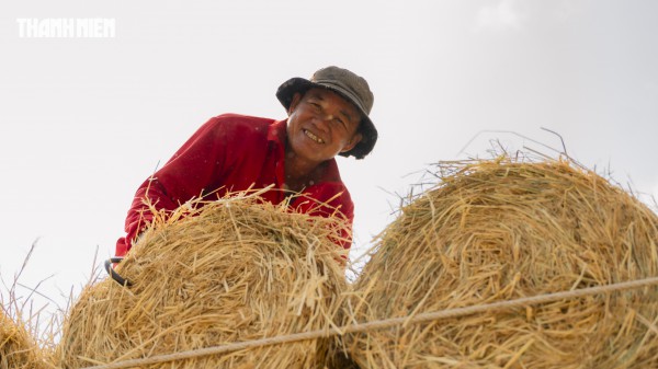 Nhộn nhịp chợ rơm cuộn Ba Lai: Nụ cười xua tan cái mệt dưới nắng hè