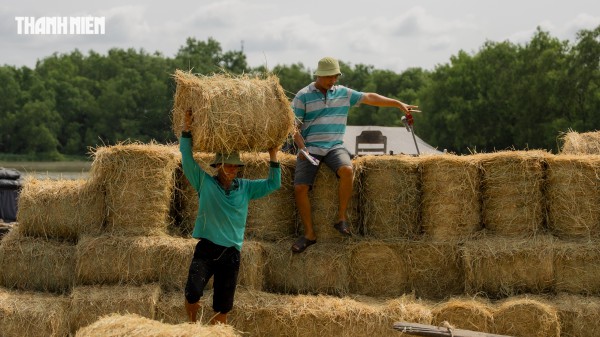 Nhộn nhịp chợ rơm cuộn Ba Lai: Nụ cười xua tan cái mệt dưới nắng hè