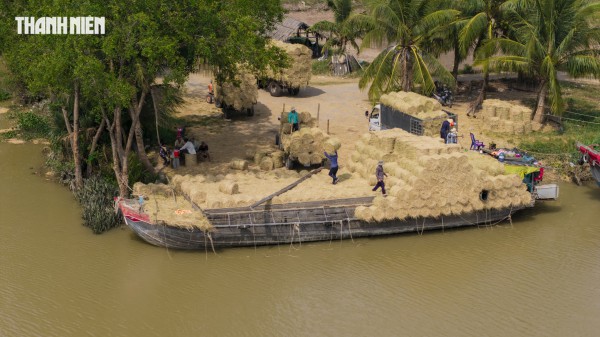Nhộn nhịp chợ rơm cuộn Ba Lai: Nụ cười xua tan cái mệt dưới nắng hè