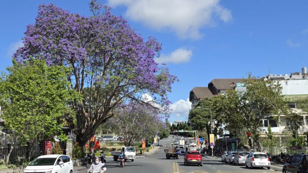 Cảnh giác bẫy 'sở hữu kỳ nghỉ' khi mùa du lịch hè đến gần