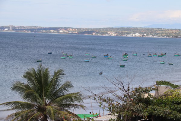 Chồng lấn điện gió ngoài khơi: Lỗ hổng điều phối, nguy cơ lãng phí tài nguyên biển