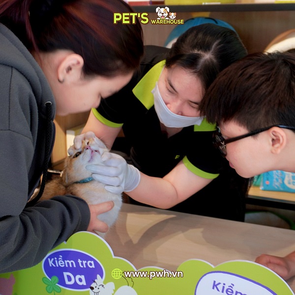 chuoi-ngay-hoi-kiem-tra-suc-khoe-mien-phi-cho-thu-cung-tai-tp-hcm