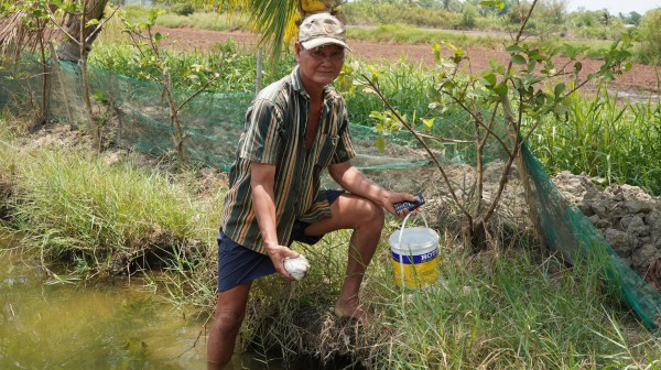 Cà Mau: Cá chết hàng loạt nghi do bơm cát thi công gây xâm nhập mặn