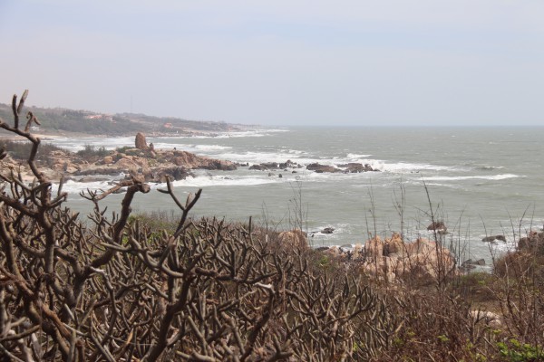 Chồng lấn điện gió ngoài khơi: Lỗ hổng điều phối, nguy cơ lãng phí tài nguyên biển