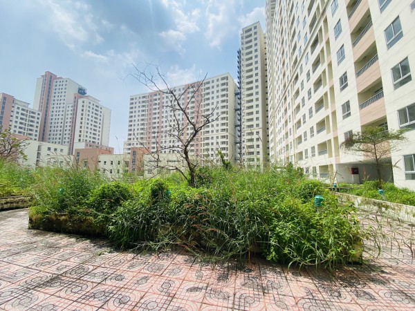 Để tránh lãng phí, nhà đất tái định cư bỏ hoang sẽ bị 'thu hồi' Để tránh lãng phí, nhà đất tái định cư bỏ hoang sẽ bị 'thu hồi'