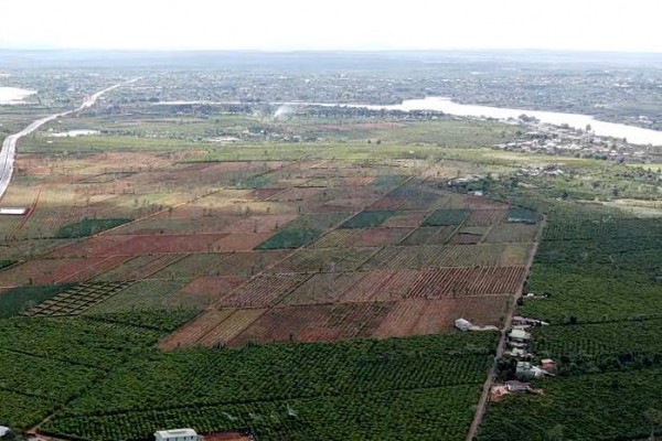 Gia Lai: 'Cò đất' rao bán cả đất công, phân lô trái phép tràn lan