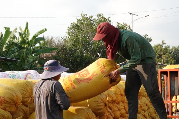 Giá gạo Việt Nam tăng mạnh nhất châu Á
