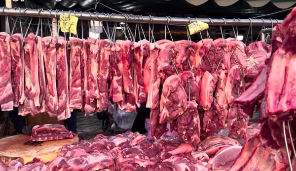 Giá heo hơi hôm nay 10.4.2026: Chững lại vì sức mua thấp Giá heo hơi hôm nay 10.4.2026: Chững lại vì sức mua thấp